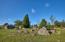 sweden 608 by Geertjan Plooijer