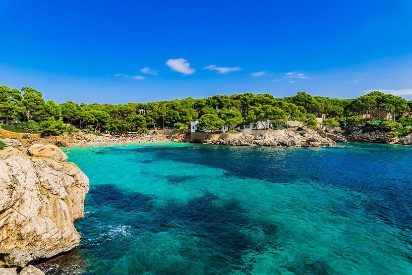 Mooi strand Mallorca eiland, idyllische baai van Cala Gat van Alex Winter