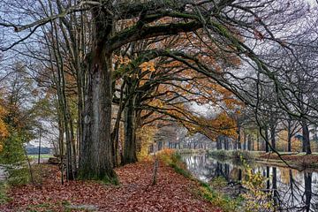 Apeldoorns Kanaal van Wessel Krul