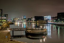 Hecken in der Nacht von miranda tijssen