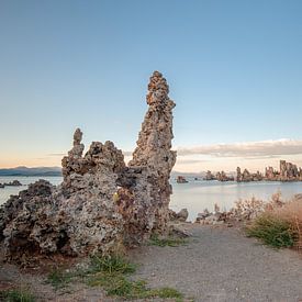 Mono lake van Hettie Planckaert