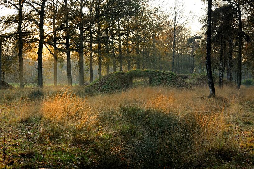 Daatselaarsepad von Willem van Leuveren Fotografie