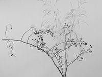 decorative branches