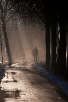 Wandelaar in de mist