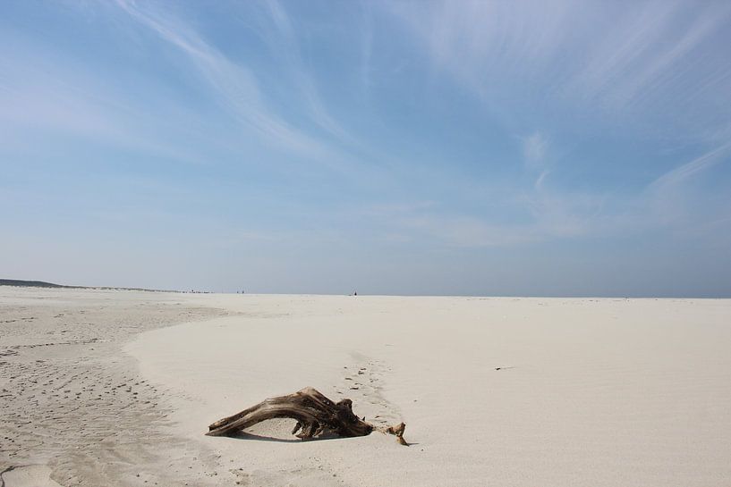 Uitgestrekte leegte von Lis Zandbergen