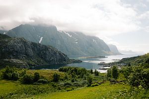 Vues sur les îles Lofoten