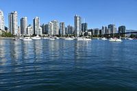 View of the city in summer