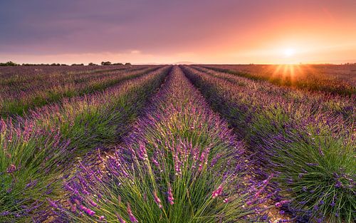 Zonsondergang in Valensole