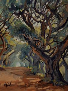 Avenue lined with old trees