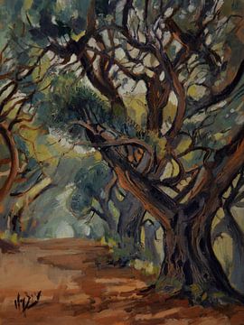 Allee mit alten Bäumen von Nop Briex