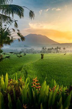 Lever de soleil sur le volcan à Bali sur Danny Bastiaanse