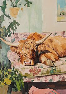 Highland Cow