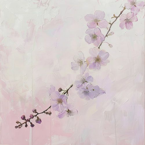 Fleurs de cerisier