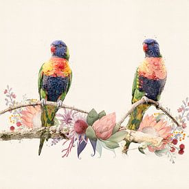 2 regenboog vogeltjes van Studio Nooks