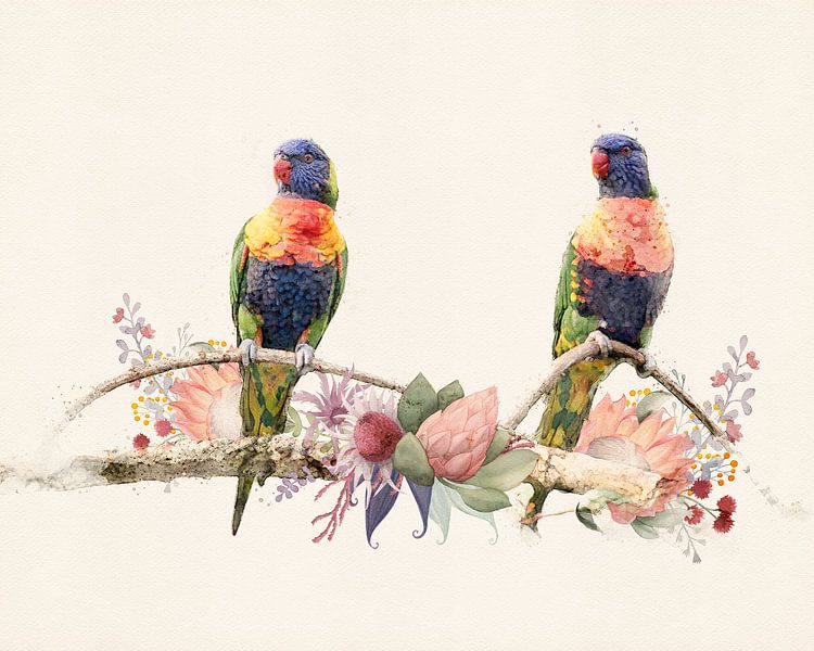 2 Rainbow lorikeet birds by Studio Nooks