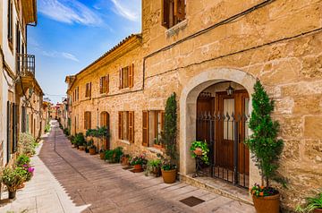 Rue typique avec des plantes en pot dans la vieille ville d'Alcudia à Majorque, Espagne, îles Baléar sur Alex Winter
