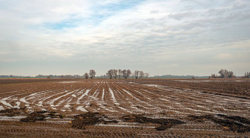 Niederländisches Feld in der Wintersaison von Ruud Morijn
