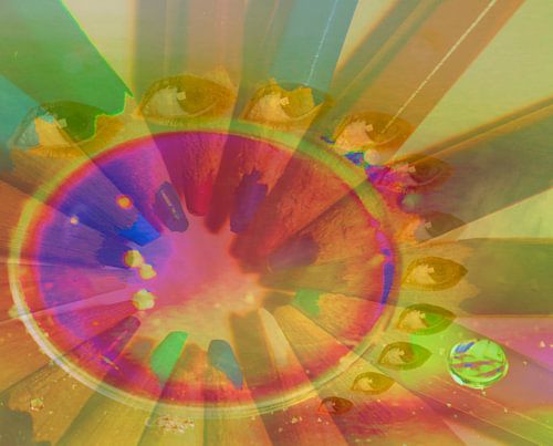 Ogen, potloden, cirkels