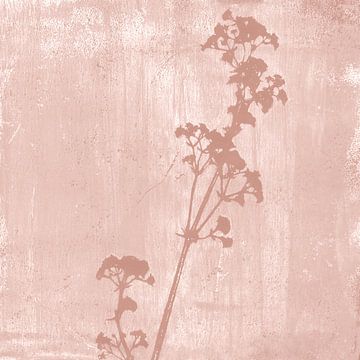 Illustration botanique de style rétro en rose corail sur Dina Dankers