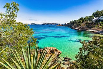 Mooie baai strand van Cala Fornells, Mallorca eiland Spanje