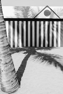 Palmboom schaduw in het zand | Zwart-wit fotoprint strandhuis Gran Canaria | Canarische Eilanden reisfotografie van HelloHappylife