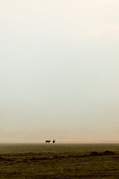 Grazing red deer by Jolijn Gommans