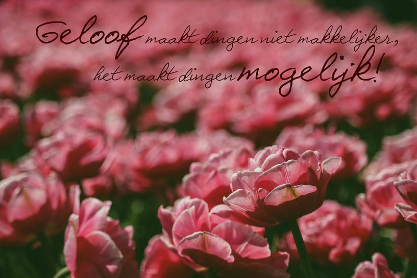 Tulip Field with Christian quote by Wilma Meurs