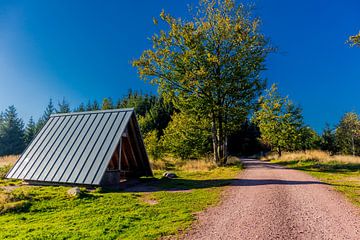 Autumnal ambience at the Rennsteig by Oliver Hlavaty