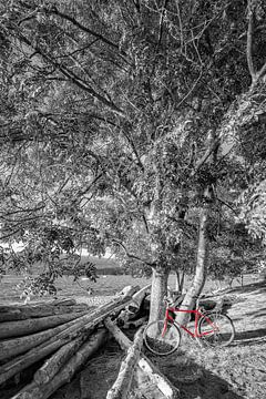 Bicycle at the beach - colorkey by Melanie Viola