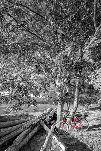 Bicycle at the beach - colorkey