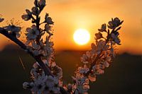 Zonsondergang in de Achterhoek