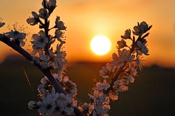 Zonsondergang in de Achterhoek sur Jaimy Buunk