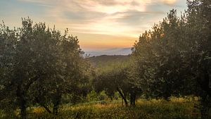 Toskana - Italien Sonnenuntergang