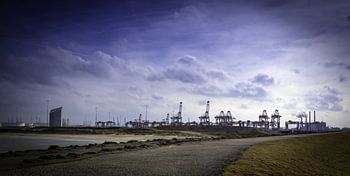 De Maasvlakte