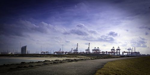 De Maasvlakte
