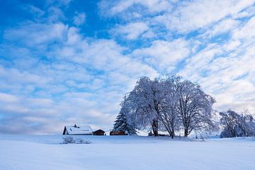 Winterlandschap in het Thüringer Woud van Rico Ködder