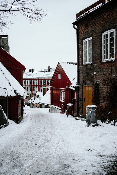Oslo by Hello Pompoyo