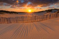 Sunset in the dunes of The Hague in Holland