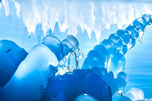 Natuurlijke Abstractie in  Ijsvormen