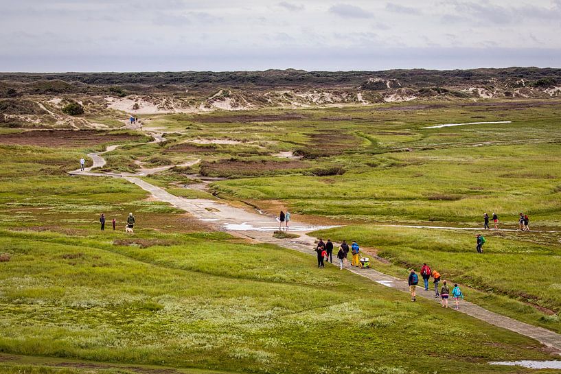 Naturschutzgebiet De Slufter auf Texel von Rob Boon