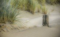 Strandleven von Dirk van Egmond Miniaturansicht