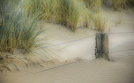 Strandleven by Dirk van Egmond