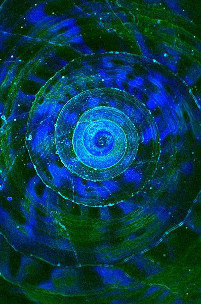 Time Shell Vortex in GB by De Rover