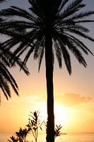 Zonsondergang in Tunesie