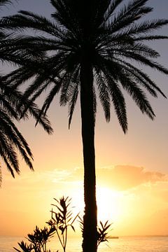 Coucher de soleil en Tunisie