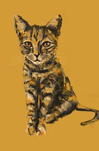 Cat Bjor