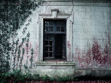 Window frame in Abandoned House