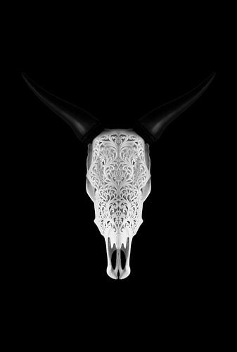 Bull Skull Panorama