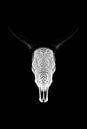 Bull Skull Panorama van Justin Sinner Photography ( Fotograaf op Texel) thumbnail