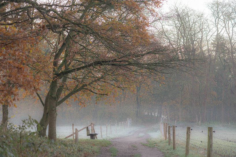 Kalter Herbstspaziergang von Tania Perneel